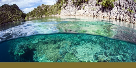 PLOS Ecosystems journal image